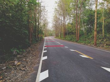 Empty road along trees in forest