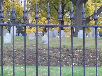 Metal fence in park