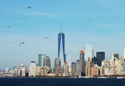 Birds flying over river against cityscape