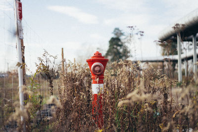 Red fire hydrant on field against sky