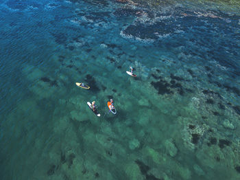 High angle view of people swimming in sea