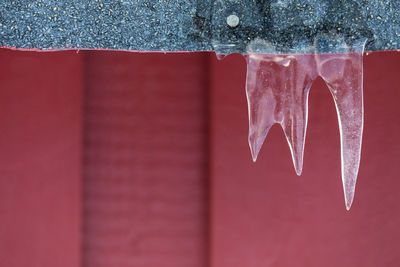 Close-up of ice cream