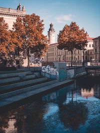 Reflection of trees and buildings in canal