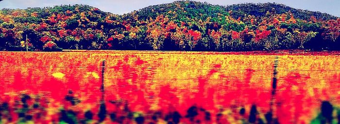 Scenic view of mountains