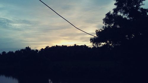 Silhouette of trees at sunset