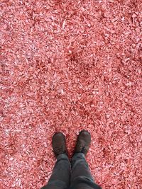 Low section of man standing on pink wood chips