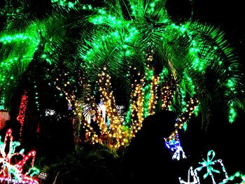 Illuminated christmas tree at night