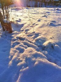 Snow covered landscape