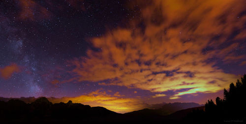 Low angle view of trees against sky at night