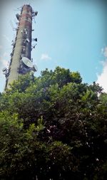 Low angle view of trees against sky