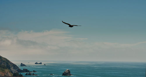 Seagulls flying over sea against sky