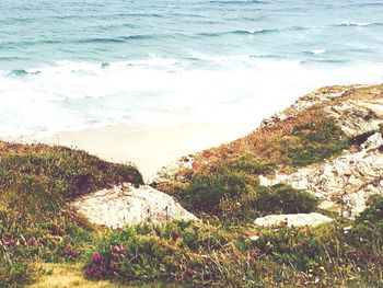 Scenic view of beach and sea