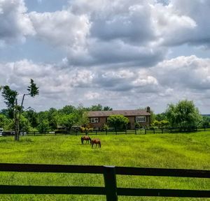 Scenic view of farm against sky