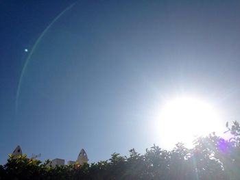 Low angle view of sun shining through trees