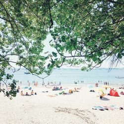 People sitting on beach against sky