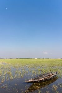 Scenic view of field against clear blue sky