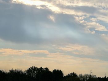 Low angle view of silhouette trees against sky