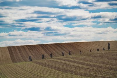 Hay bales on field against sky