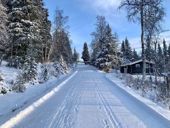 Snow covered road amidst trees against sky