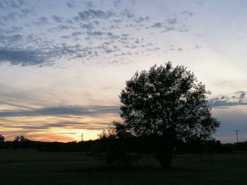 Silhouette tree on field against sky at sunset