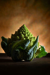 Close-up of green leaves on table