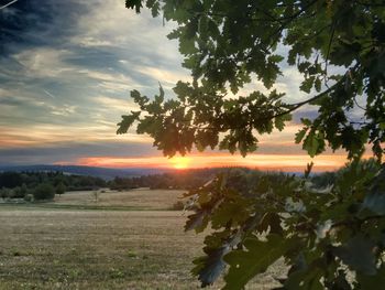 Scenic view of field against sky during sunset