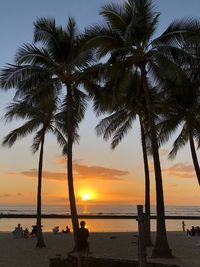 Silhouette palm trees on beach against sky during sunset
