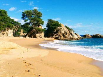 Scenic view of beach against blue sky