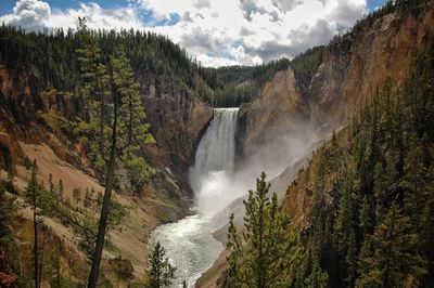 Scenic view of waterfall in forest