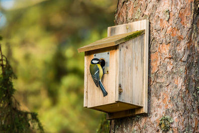 Close-up of birdhouse on wall