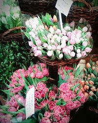 Colorful flowers for sale