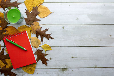 High angle view of maple leaves on table