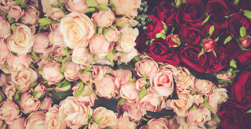 Full frame shot of roses for sale at market