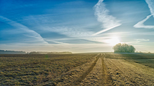 Scenic view of field against sky