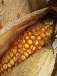 Close-up of vegetables