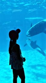 View of fish in aquarium