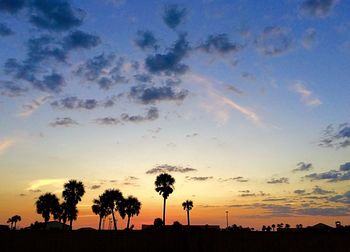 Silhouette of palm trees at sunset