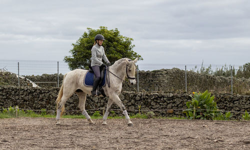 White lusitano horse with female rider, outdoors, horse riding, sport.