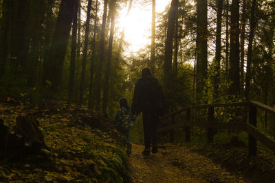 Rear view of man walking amidst trees in forest