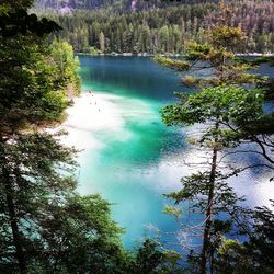 High angle view of lake amidst trees in forest