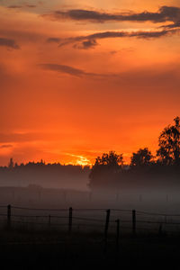 Silhouette trees on field against orange sky