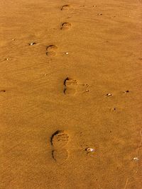 High angle view of footprints on wet sand