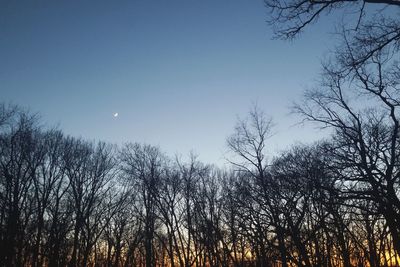 Low angle view of bare trees against sky