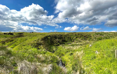 Wild moorland, with a stream and wild grasses near, kebs road, todmorden, uk