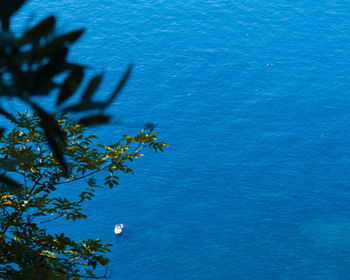 High angle view of plants and sea