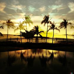 Silhouette of palm trees at sunset