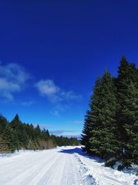 Snow covered mountain snow amidst trees against sky