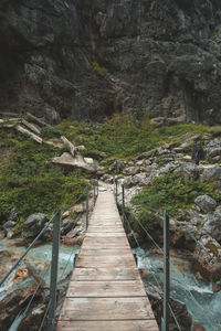 View of wooden footbridge in forest