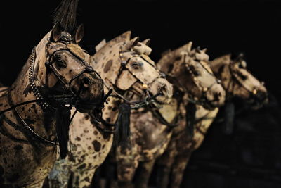 1462 horse set-terracotta funerary statuary depicting qin shi huang emperor's army. xian-china.