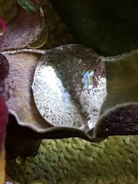 Close-up of water